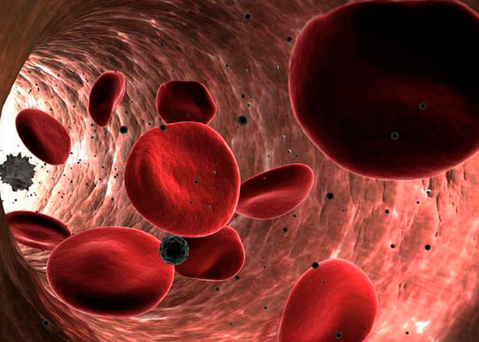 Descubren microplásticos en vasos sanguíneos humanos