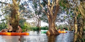 Río Istiam, lugar idóneo en este mes de los enamorados en Ometepe
