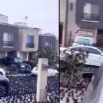 ¿Señal de desastre? Cuervos inundan calles, carros y árboles en Kyoto (Video)