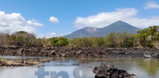 MEFCCA Inaugura ampliación de estanques de tilapias en gran escala en Nandaime