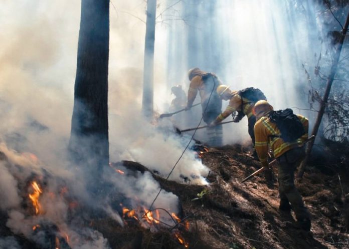 Foto: Autoridades de Chile comunican que disminuye la cantidad de incendios / Cortesía