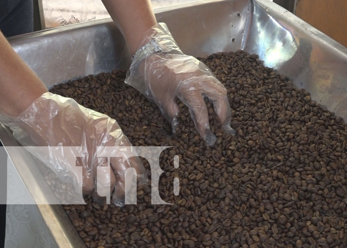 COALVA, emprendimiento en Rivas, ofrece productos a base de maíz, cacao y café