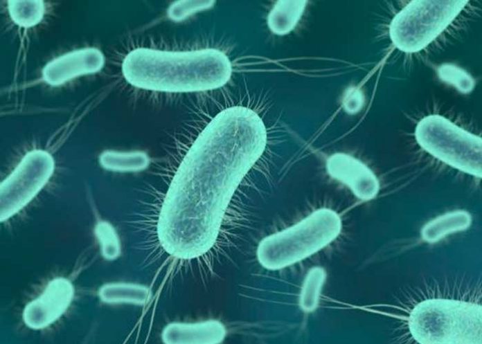 Crean antibiótico capaz de eliminar bacterias 