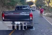 Foto: Animales en la vía continúan siendo un peligro en las carreteras de Nueva Segovia / TN8