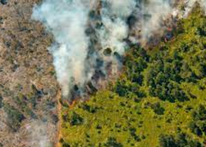 Foto: Incendios en Cuba reportan miles de hectáreas dañadas / Cortesía