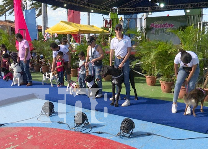 Foto: Jornada de salud animal "Pasarela con Animalitos", en Managua / TN8