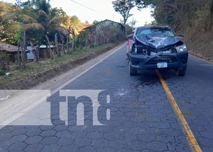 Foto: Animales en la vía continúan siendo un peligro en las carreteras de Nueva Segovia / TN8