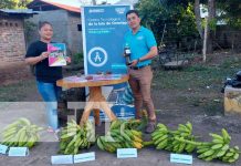 Foto: Exposición de alimentos hechos a base de maíz en la Isla de Ometepe / TN8
