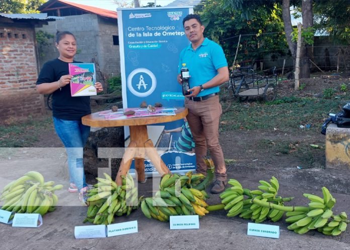 Exposición de alimentos hechos a base de cáscara de plátano en la Isla de Ometepe