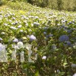 Vivero Mil Flores Rubí, un maravilloso lugar para conectar con la naturaleza