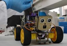 Crean robot que percibe olores como los animales