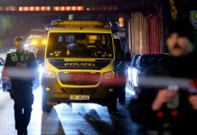 Un niño muerto y otro lucha por su vida tras accidente ferroviario en Alemania