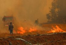 Alerta roja en Chile por el azote de una ola de incendios forestales