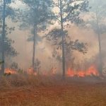 Grandes columnas de humo de incendio forestal afecta el oriente de Cuba