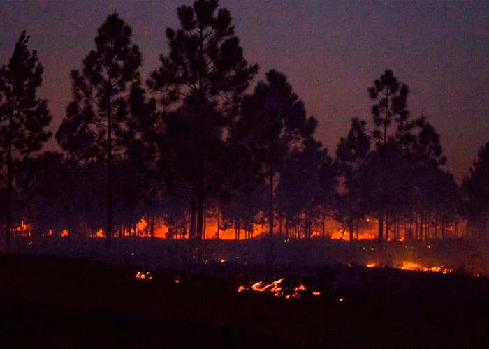 Grandes columnas de humo de incendio forestal afecta el oriente de Cuba
