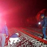 Sin pierna quedó migrante tras quedarse dormido y caer del tren en México