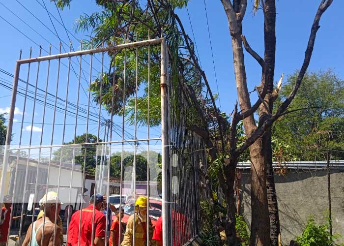 Cuerpo de Bomberos de Managua acuden al lugar