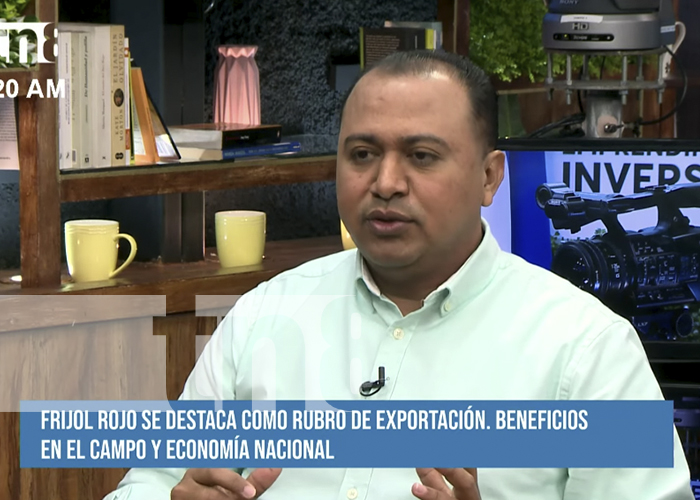 Frijol rojo destaca en los beneficios del campo y la economía de Nicaragua