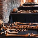Evolución de las oleadas de la peste negra en la Escandinavia Medieval