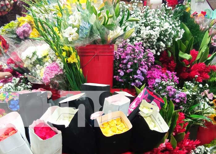 Foto: Bonitos obsequios para San Valentín en el Mercado Roberto Huembes / TN8