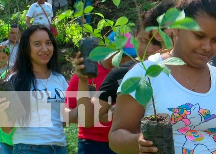 “Verde, que te quiero verde” tiene el 91% de avance en Nicaragua