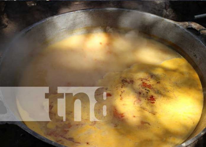 Foto: Sopa de queso, una delicia para probar en Masaya / TN8