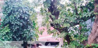Camioneta impacta contra una vivienda en Boaco