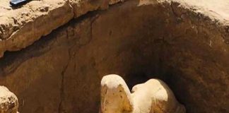 Científicos en Egipto descubren esfinge que podría representar a emperador romano