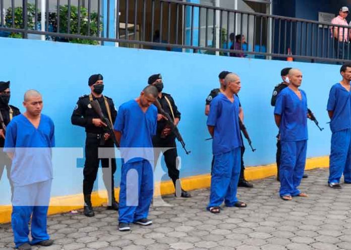 Policía detiene a varios individuos por cometer delitos en Estelí, Jinotega y el Triángulo Minero