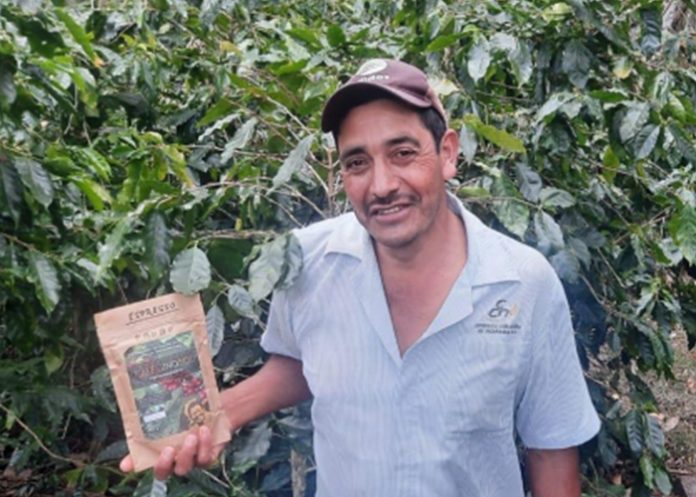 Gobierno de Nicaragua da acompañamiento a agricultores de café en Jinotega