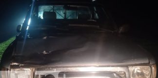 Semoviente provoca fuerte accidente de tránsito en Jalapa