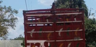 Foto: Hombre muere al caer del camión en el que viajaba en Quilalí, Nueva Segovia / TN8