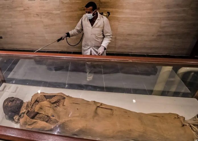Foto: 5 hallazgos sobre cómo los antiguos egipcios creaban las momias / Cortesía