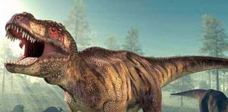 ¿Tiranosaurios rex con labios? Esto señala un reciente estudio