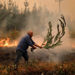 Foto: Chile se encuentra en estado de emergencia por incendios forestales / Cortesía