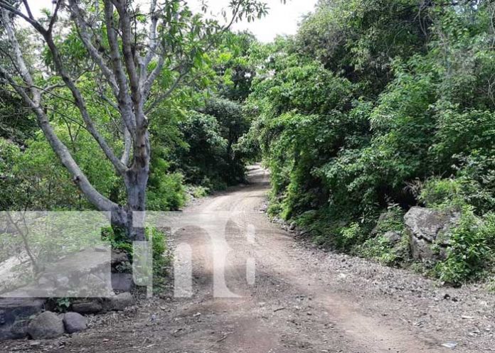Más comunidades beneficiadas con inauguración de caminos en Jinotega
