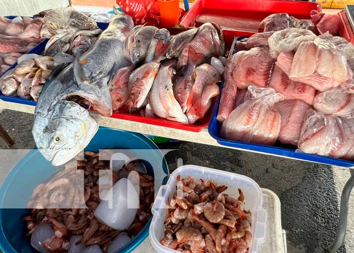 Familias de Managua disfrutan de productos de calidad en la Feria del Mar