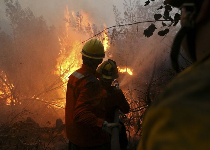 Foto: Chile se encuentra en estado de emergencia por incendios forestales / Cortesía