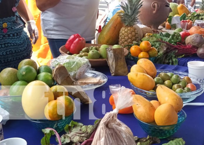 Foto: Realizan concurso de comidas de Cuaresma en Matagalpa / TN8