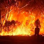 Ola de calor desata infernales incendios forestales en Australia