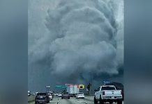 Devastador tornado deja caos en el sur de California tras ser azotado por tormentas