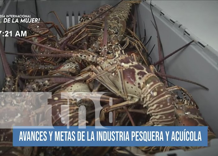 Foto: Avances y metas de la industria pesquera y acuícola en Nicaragua / TN8