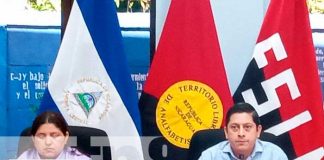 El Sistema Educativo de Nicaragua sostuvo un encuentro internacional virtual/TN8