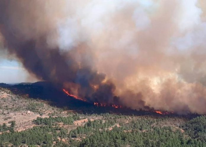 Incendio forestar obligó a evacuar a más de mil personas en España
