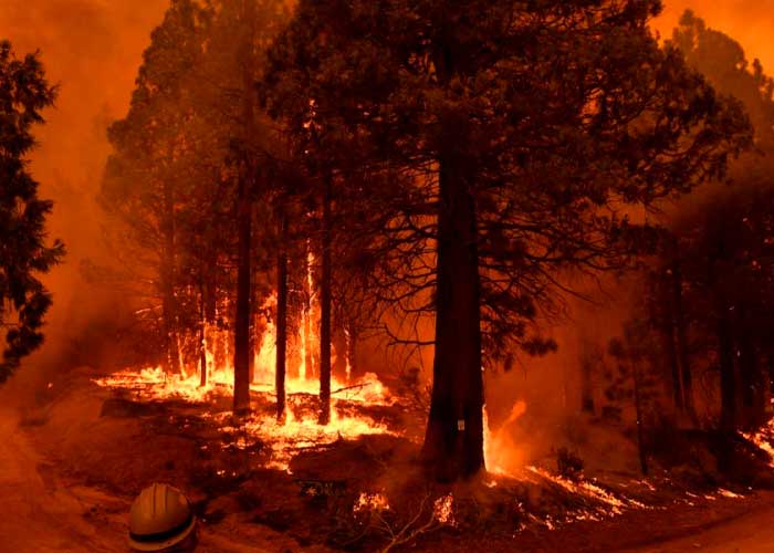 Más de 100 incendios forestales se devoran las regiones noreste de España