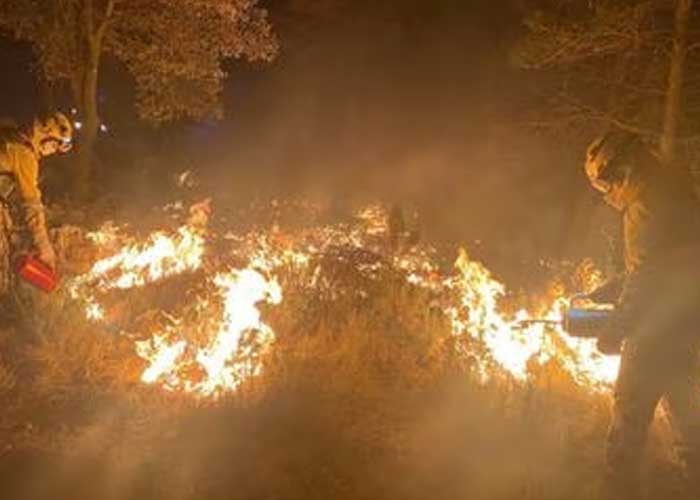 Incendio forestal en España afecta a al menos 4 mil hectáreas