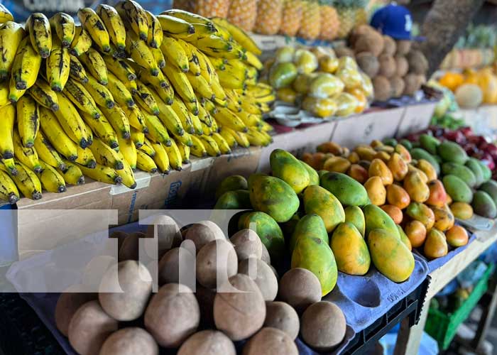 Frutas de la temporada a precios económicos en el Mercado Israel Lewites