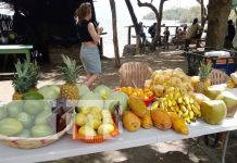 Gran variedad de frutas en el famoso mercadito de Santa Cruz en Ometepe