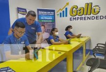 Foto: Préstamos emprendedores con el Gallo Más Gallo / TN8