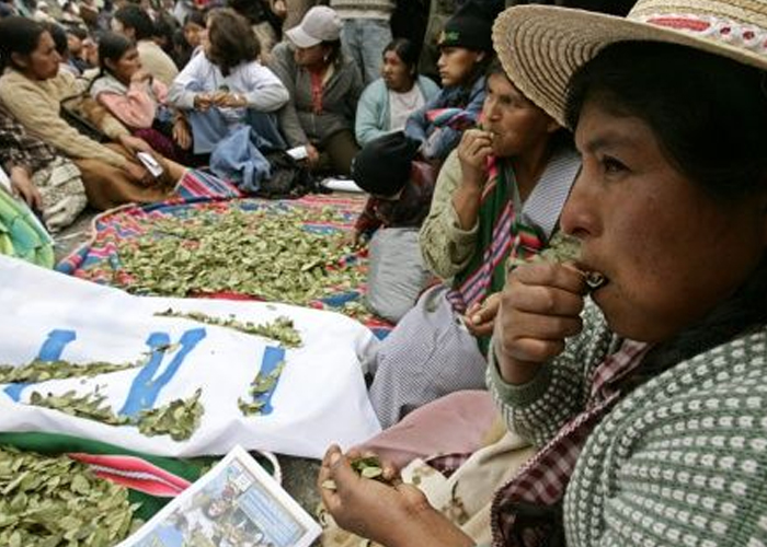 Bolivia arranca campaña para despenalizar la hoja de coca natural